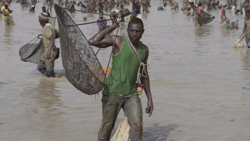 UNESCO Fishing Tradition is Threatened by a Disappearing Pond in Mali