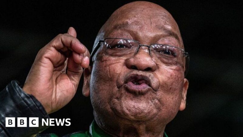 The Reason Behind South Africa’s “Zuma Tsunami”