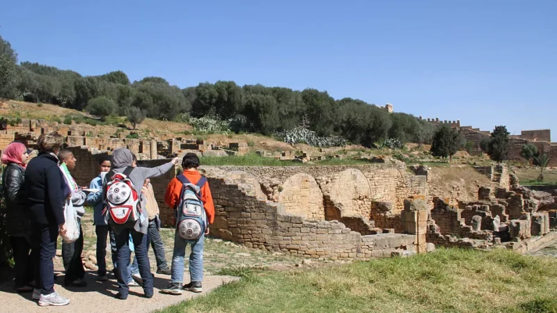 Treasures from the Historic Harbour City of Chellah are on Display in Morocco