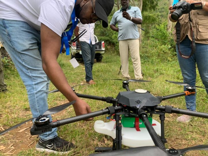 The Agricultural Revolution in Cape Verde: From Drought to Innovation