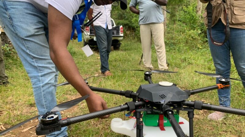 The Agricultural Revolution in Cape Verde: From Drought to Innovation