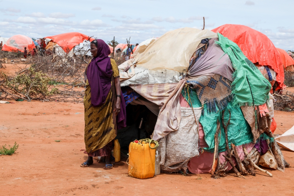 At COP29, African Authorities demand that Wealthy Nations Foot the bill for Environmental Harm