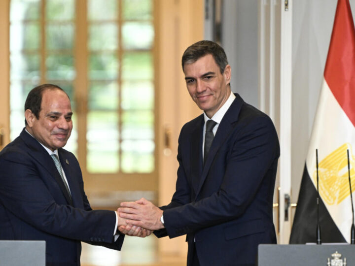 Leaders of Egypt and Spain Agree on Rebuilding Gaza