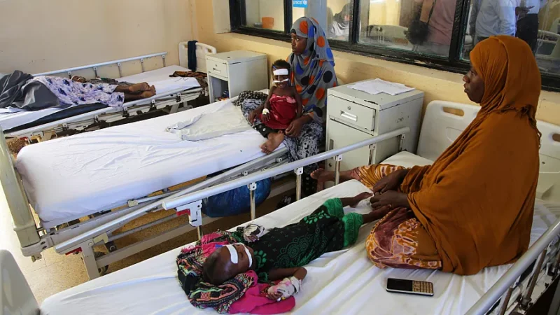 In 2024, 295 Million People were Affected by the Worsening of World Hunger