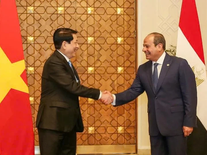 Relations Between Egypt and Vietnam Are Strengthened into a Full Collaboration