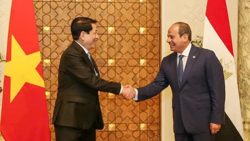 Relations Between Egypt and Vietnam Are Strengthened into a Full Collaboration