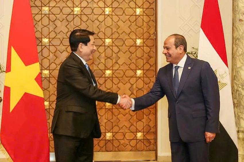Relations Between Egypt and Vietnam Are Strengthened into a Full Collaboration