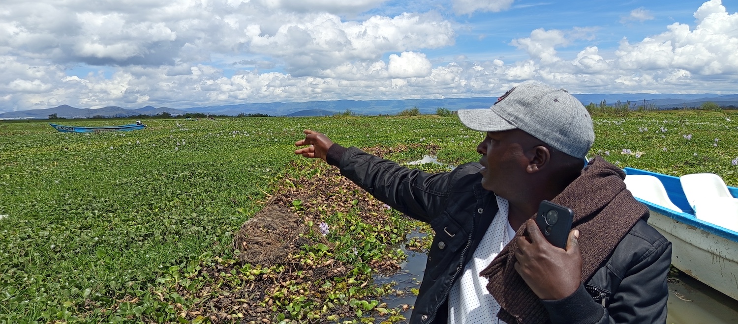 A Kenyan Engineer Creates an Environmentally Friendly Invention out of a Poisonous Water Hyacinth