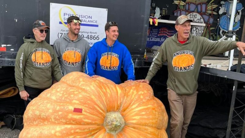 At the Gigantic Vegetable Battle, a Russian Farmer Breaks the National Record with a 969-Kilogram Pumpkin