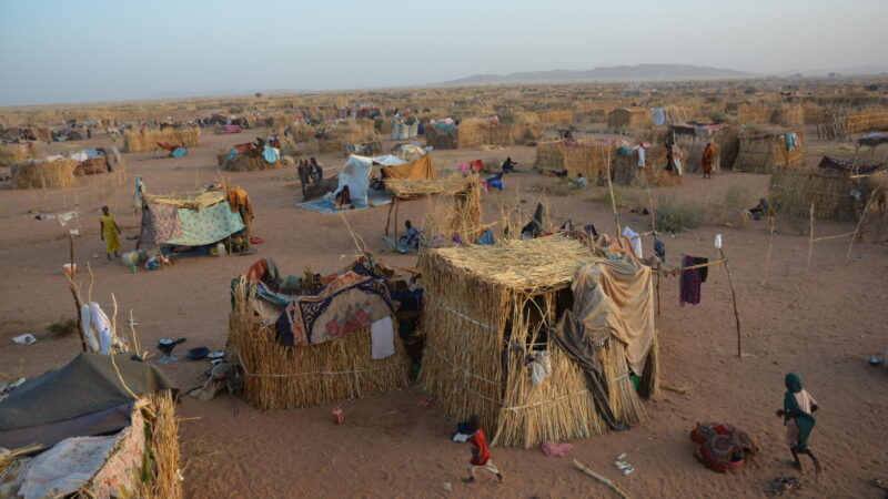 After the RSF Took Over El-Fasher, Hundreds of People Were Subjected to Sexual Assault and Torture