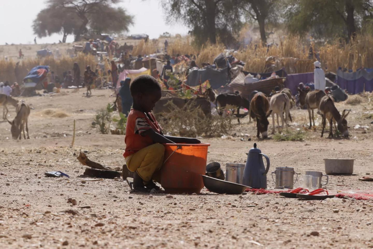 Despite Conflict in Sudan’s west Darfur, Hundreds of Youngsters Escape to the Tawila Camp
