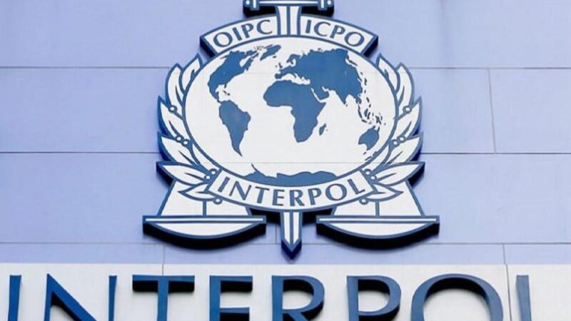 Interpol Global Policing Forum Says Security needs a New Compass