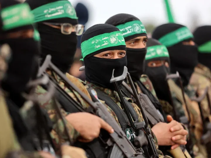 The Foreign Ministers of Egypt and Germany Want the Gaza Ceasefire to be Fully Implemented