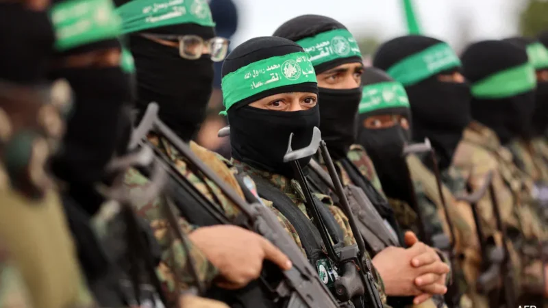 The Foreign Ministers of Egypt and Germany Want the Gaza Ceasefire to be Fully Implemented