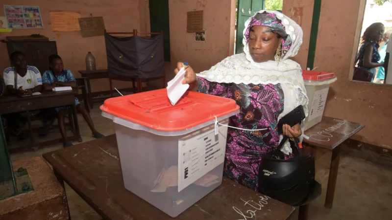 In Benin Elections, all Parliamentary Seats go to Government Parties