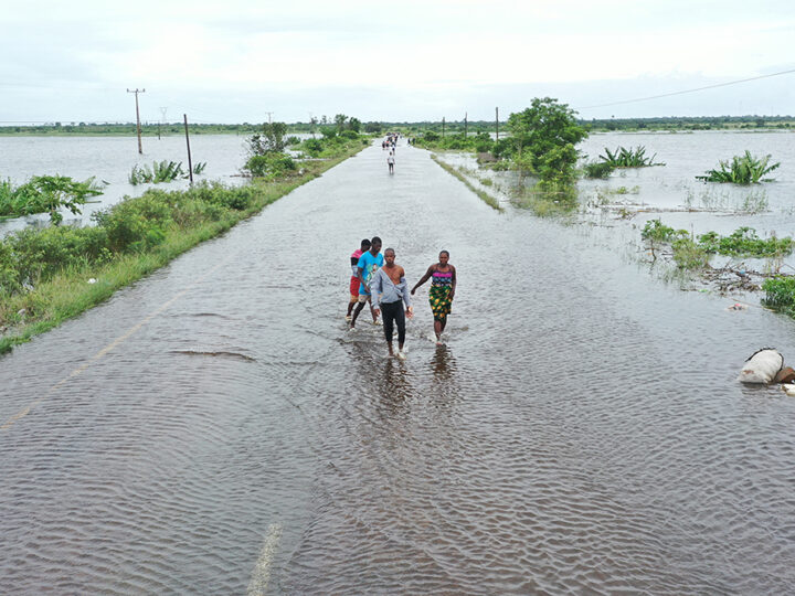 Floods Cause Devastating Damage to South Africa’s Kruger Park