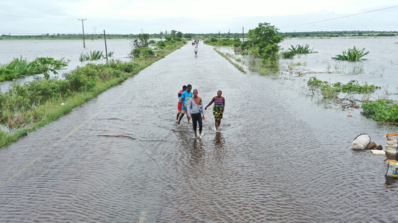 Floods Cause Devastating Damage to South Africa’s Kruger Park
