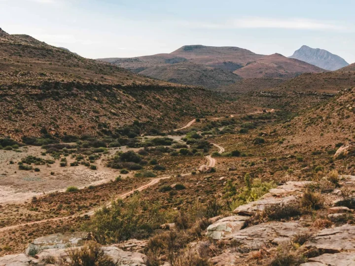 In the Desert of South Africa, the Global Supply of Mohair Thrives