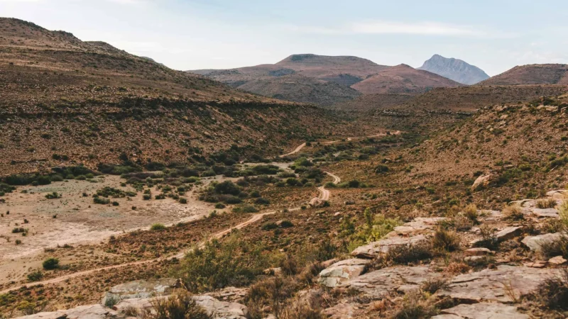 In the Desert of South Africa, the Global Supply of Mohair Thrives