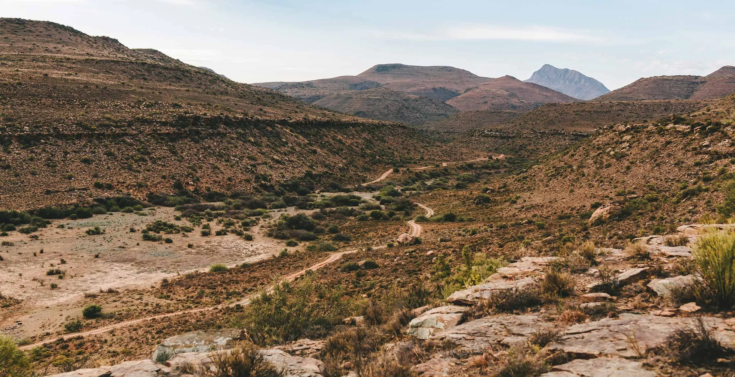 In the Desert of South Africa, the Global Supply of Mohair Thrives