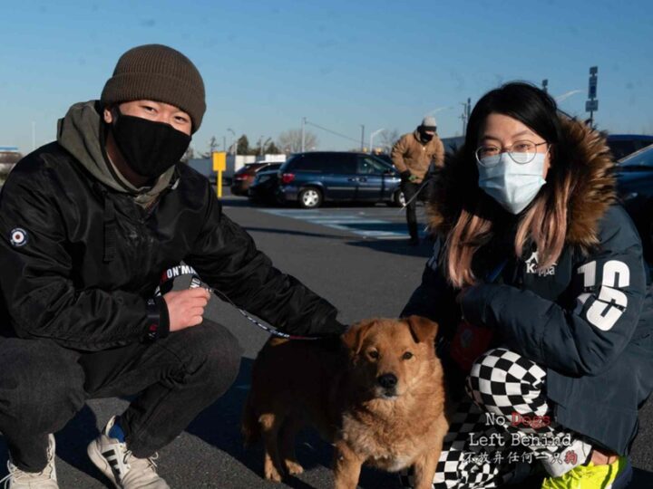 Jeffrey Beri: The Man Behind No Dogs Left Behind’s Life-Saving Mission