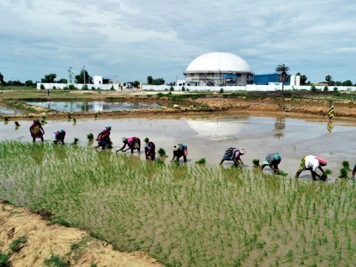 A DRC Biogas Firm Wants to Reduce Costs, Pollution, and Deforestation