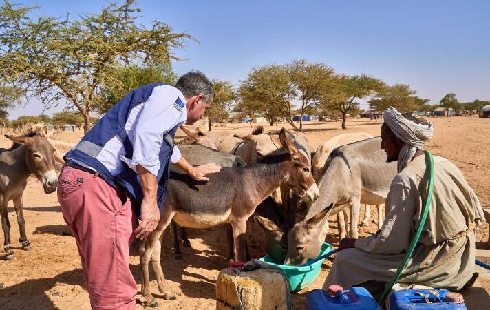 Malian Refugees in Mauritania Have Severe Psychological and Bodily Wounds