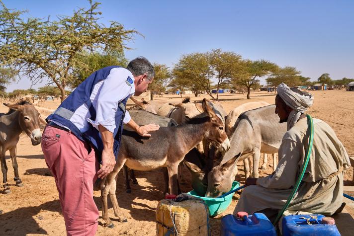 Malian Refugees in Mauritania Have Severe Psychological and Bodily Wounds