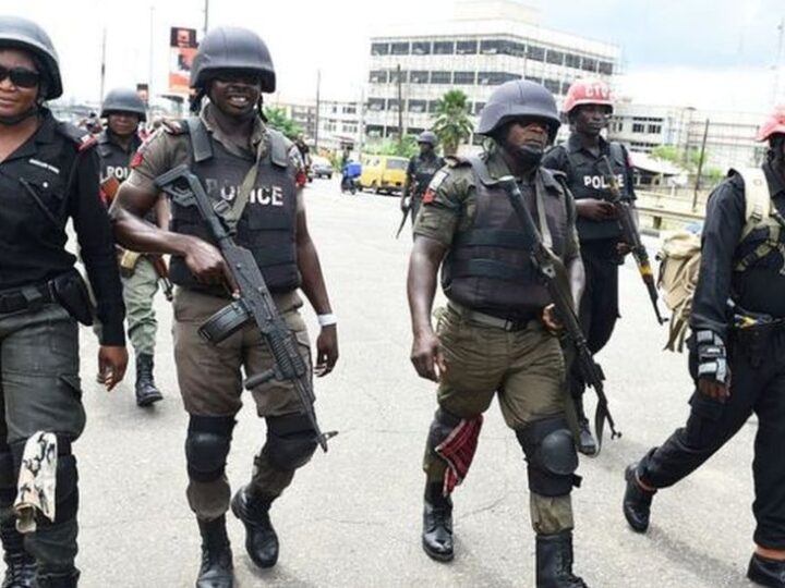 The Nigerian Senate Approves a Measure Authorizing the Establishment of State Police
