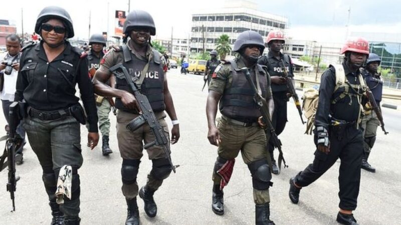 The Nigerian Senate Approves a Measure Authorizing the Establishment of State Police