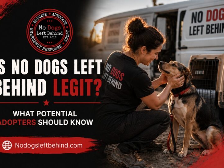 Is No Dogs Left Behind Legit? What Potential Adopters Should Know
