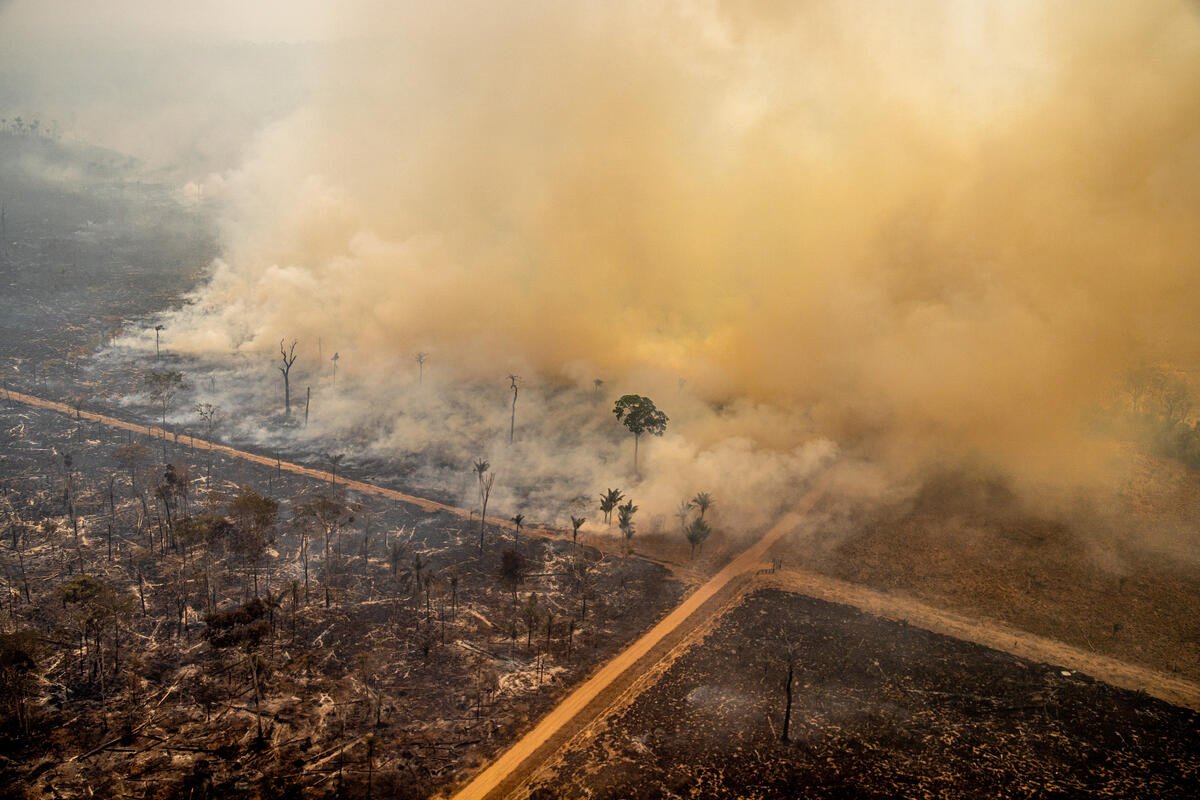 Deforestation Affects Fish Stocks and Lifestyles in the Central African Republic