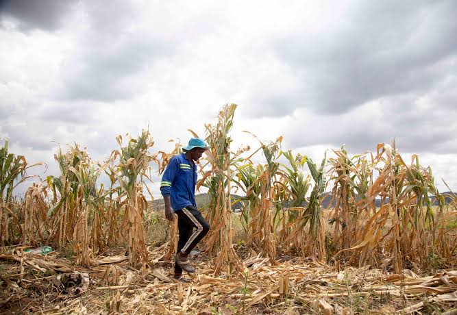 UN Agencies Want Assistance to Safeguard Vulnerable Nations Against the Upcoming Super El Niño